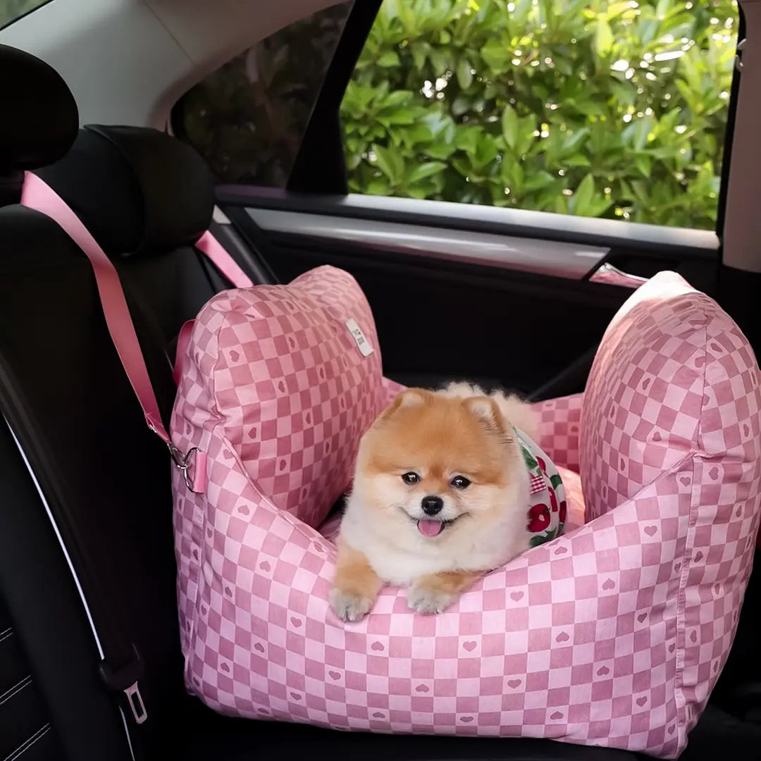 Asiento Primera Clase THE DOGS — Viajes seguros y cómodos