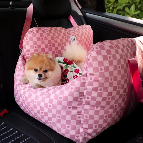 Asiento Primera Clase THE DOGS — Viajes seguros y cómodos