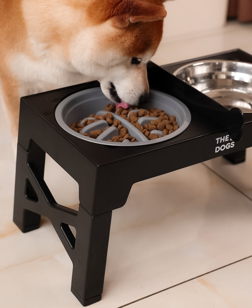Comedero Elevado THE DOGS – Piso seco en cada comida