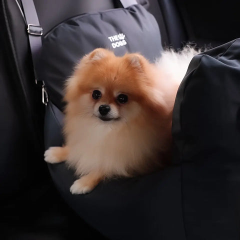 Asiento Primera Clase THE DOGS — Viajes seguros y cómodos