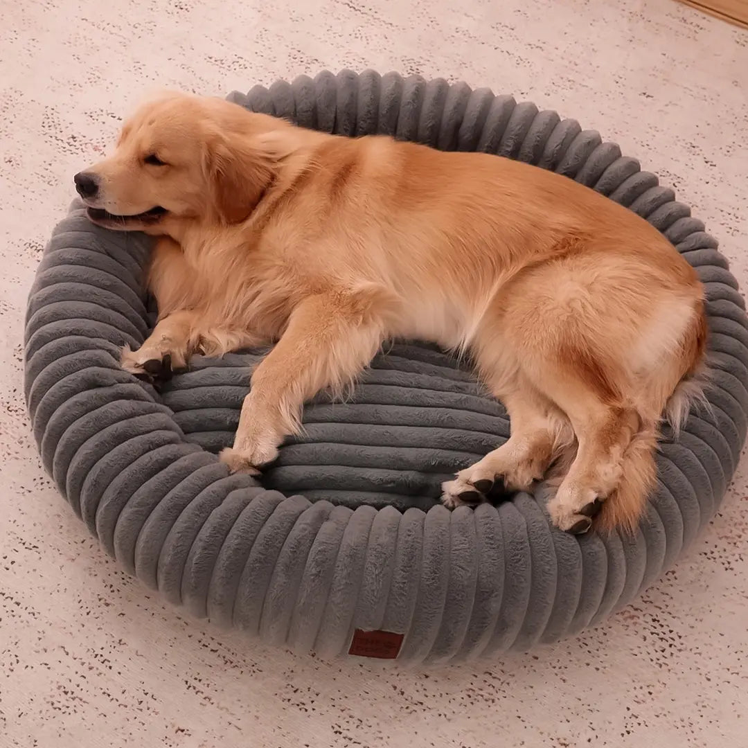 Luxury Edition: Cama Anti-Estrés THE DOGS