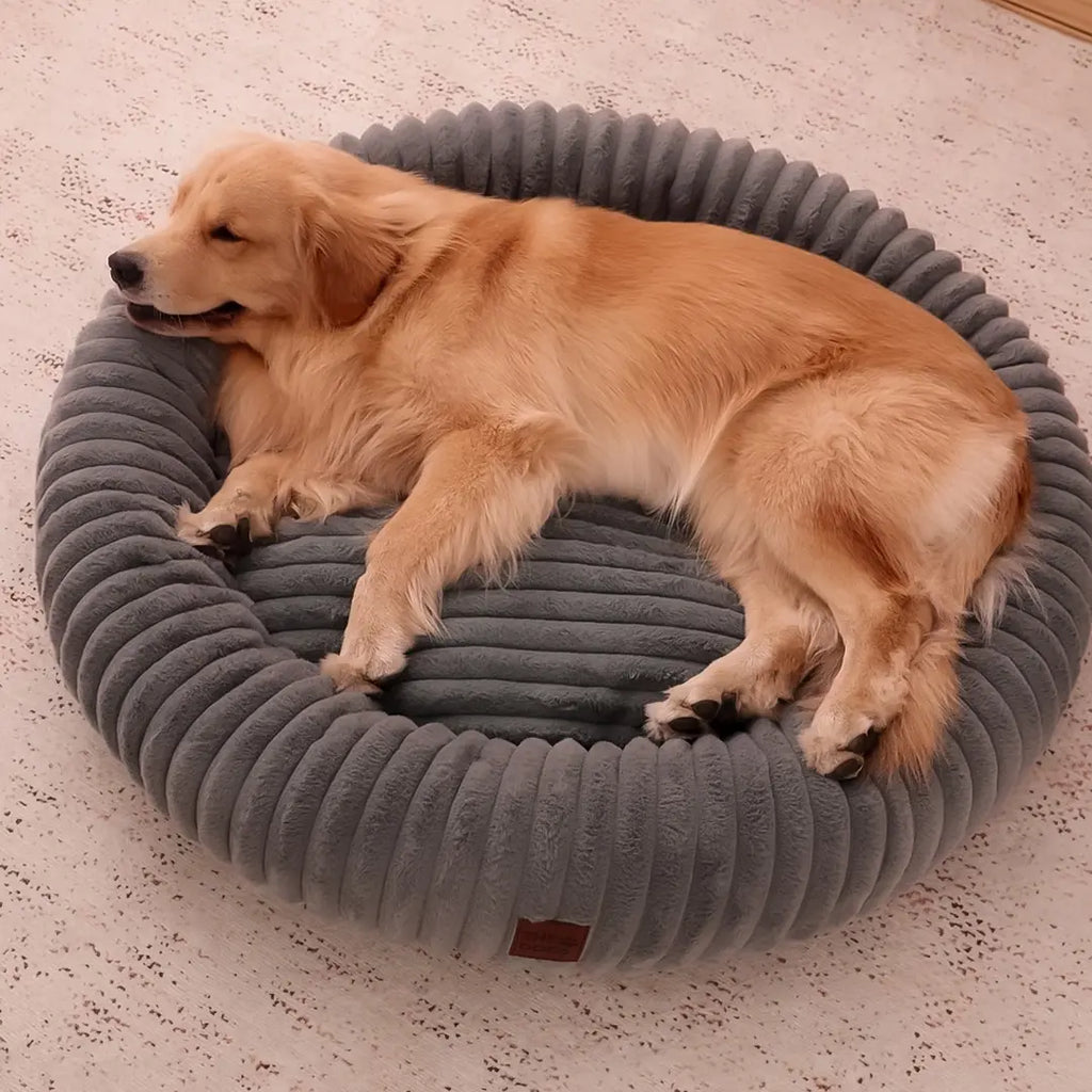 Luxury Edition: Cama Anti-Estrés THE DOGS