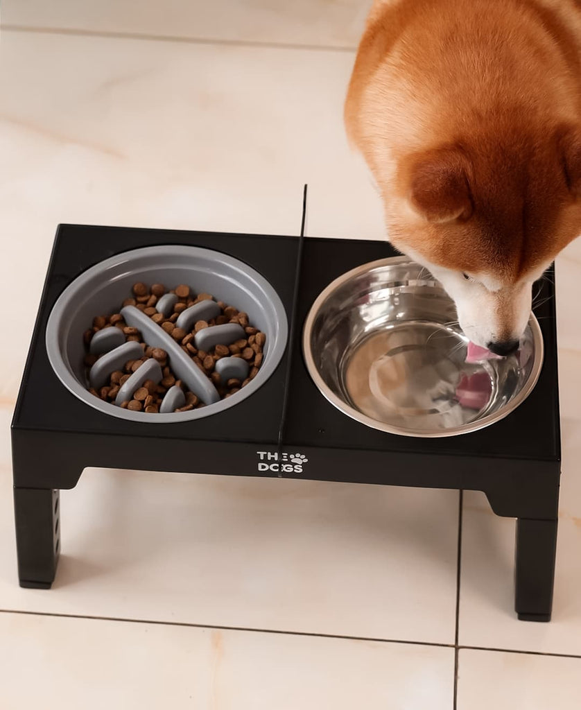 Comedero Elevado THE DOGS – Piso seco en cada comida