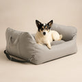 Asiento Primera Clase TheDogs - THE DOGS CHILE