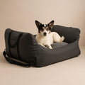 Asiento Primera Clase TheDogs - THE DOGS CHILE