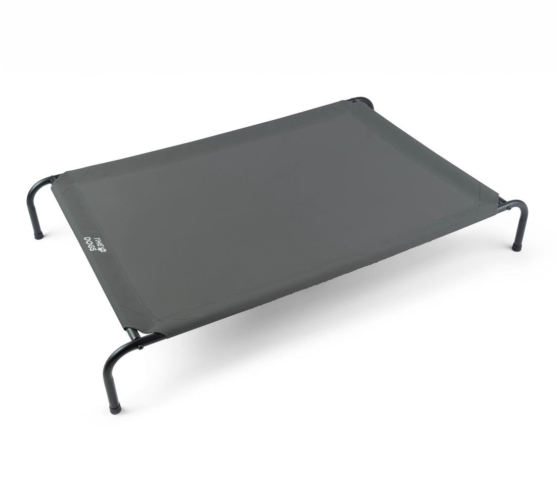 Cama Elevada THE DOGS: Frescura y Ventilación