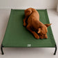 Cama Elevada THE DOGS: Frescura y Ventilación