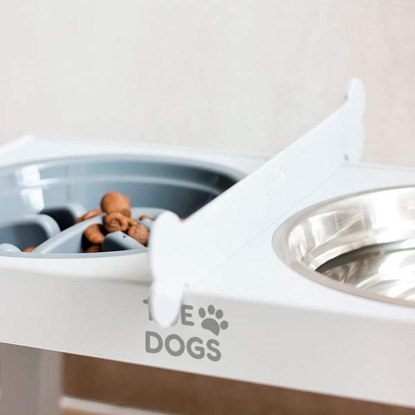 Comedero Elevado THE DOGS — Postura cómoda, piso más limpio.