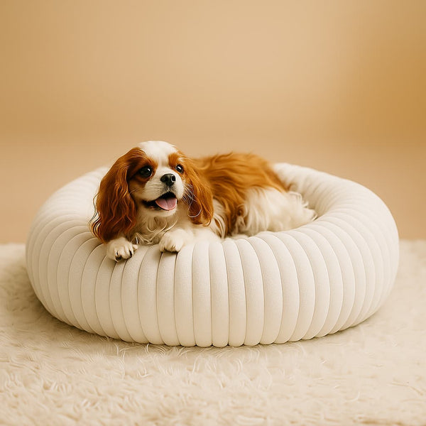 Luxury Edition: Cama Anti-Estrés THE DOGS