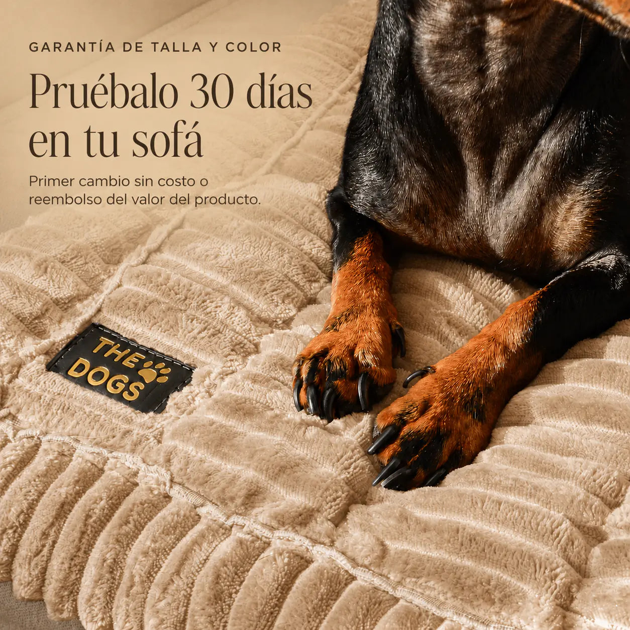 Majestuoso · Protector Premium para Sofá