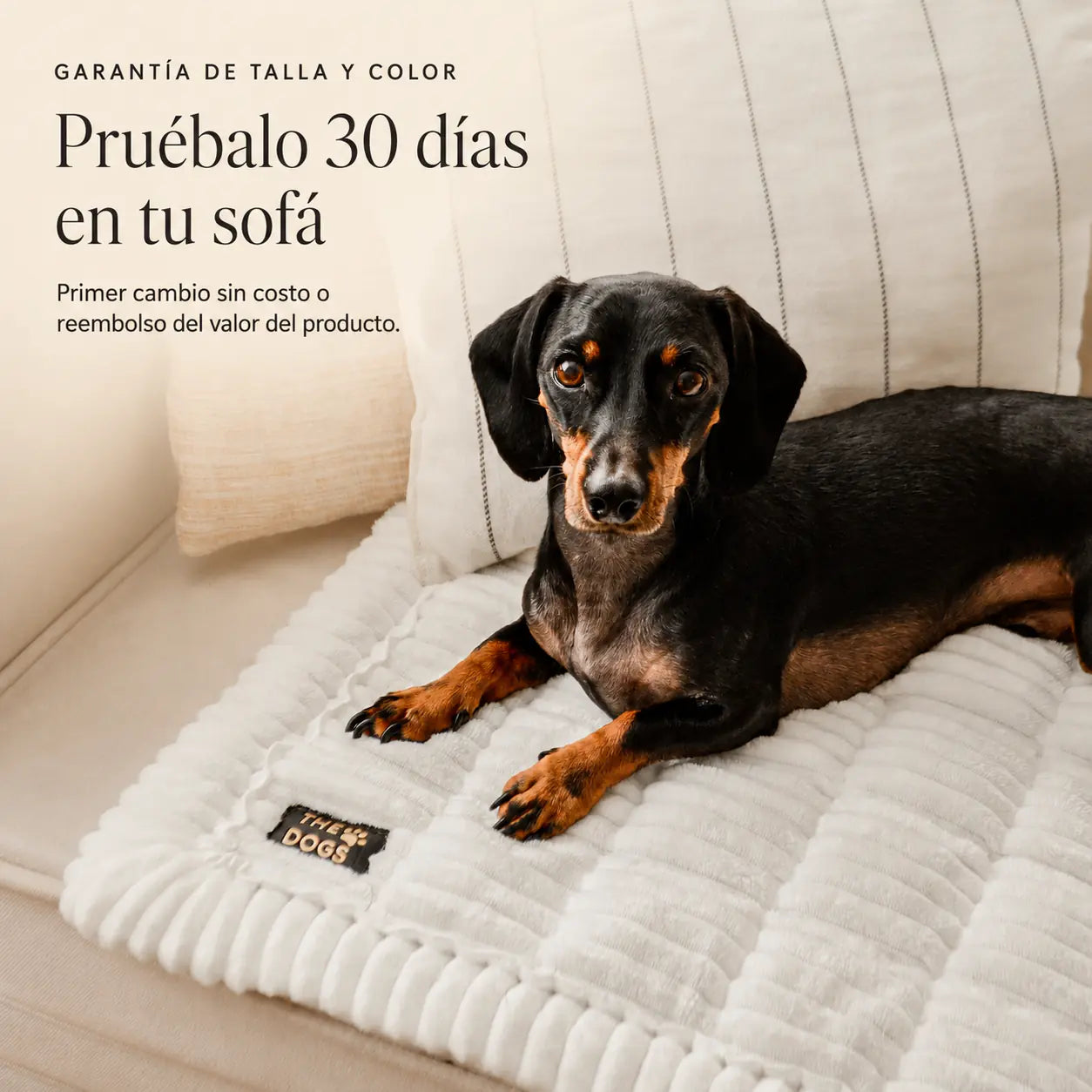Majestuoso · Protector Premium para Sofá