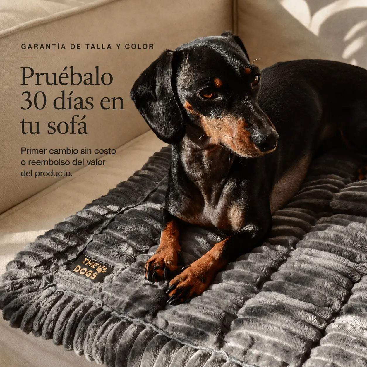 Majestuoso · Protector Premium para Sofá