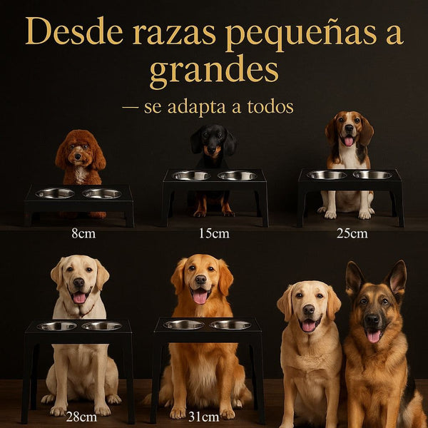 Comedero Elevado THE DOGS