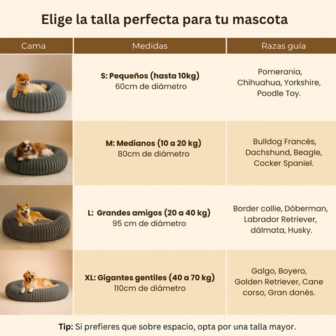 Luxury Edition: Cama Anti-Estrés THE DOGS