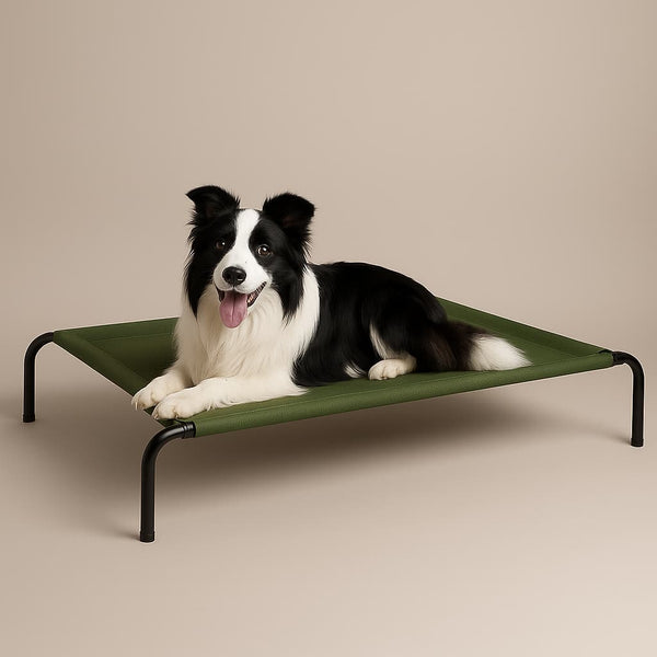Cama Elevada THE DOGS: Frescura y Ventilación