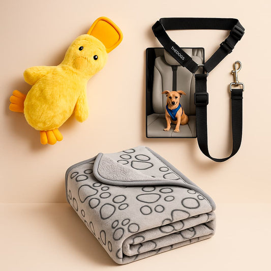 Pack: Manta + Pato + Cinturón