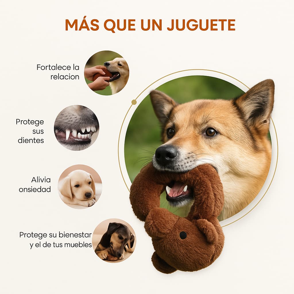 Pack de Calma Sin Relleno THE DOGS