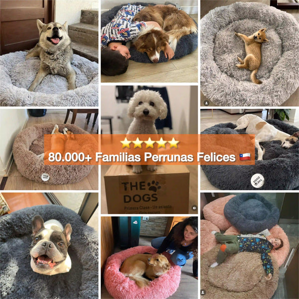 Cama Anti-Estrés THE DOGS — Menos ansiedad, más descanso