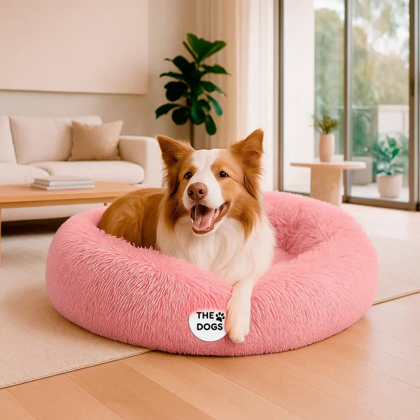 Cama Anti-Estrés THE DOGS — Menos ansiedad, más descanso