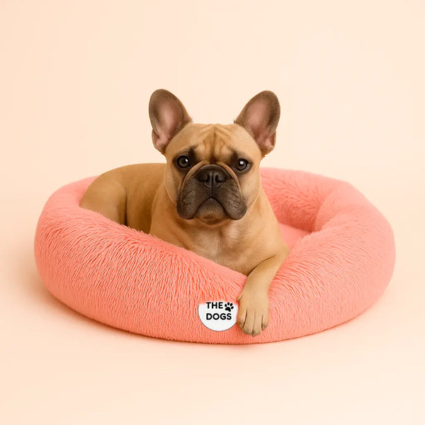 Cama Anti-Estrés THE DOGS — Menos ansiedad, más descanso