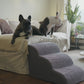 Rampa Pendiente Suave THE DOGS