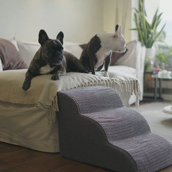 Rampa Pendiente Suave THE DOGS