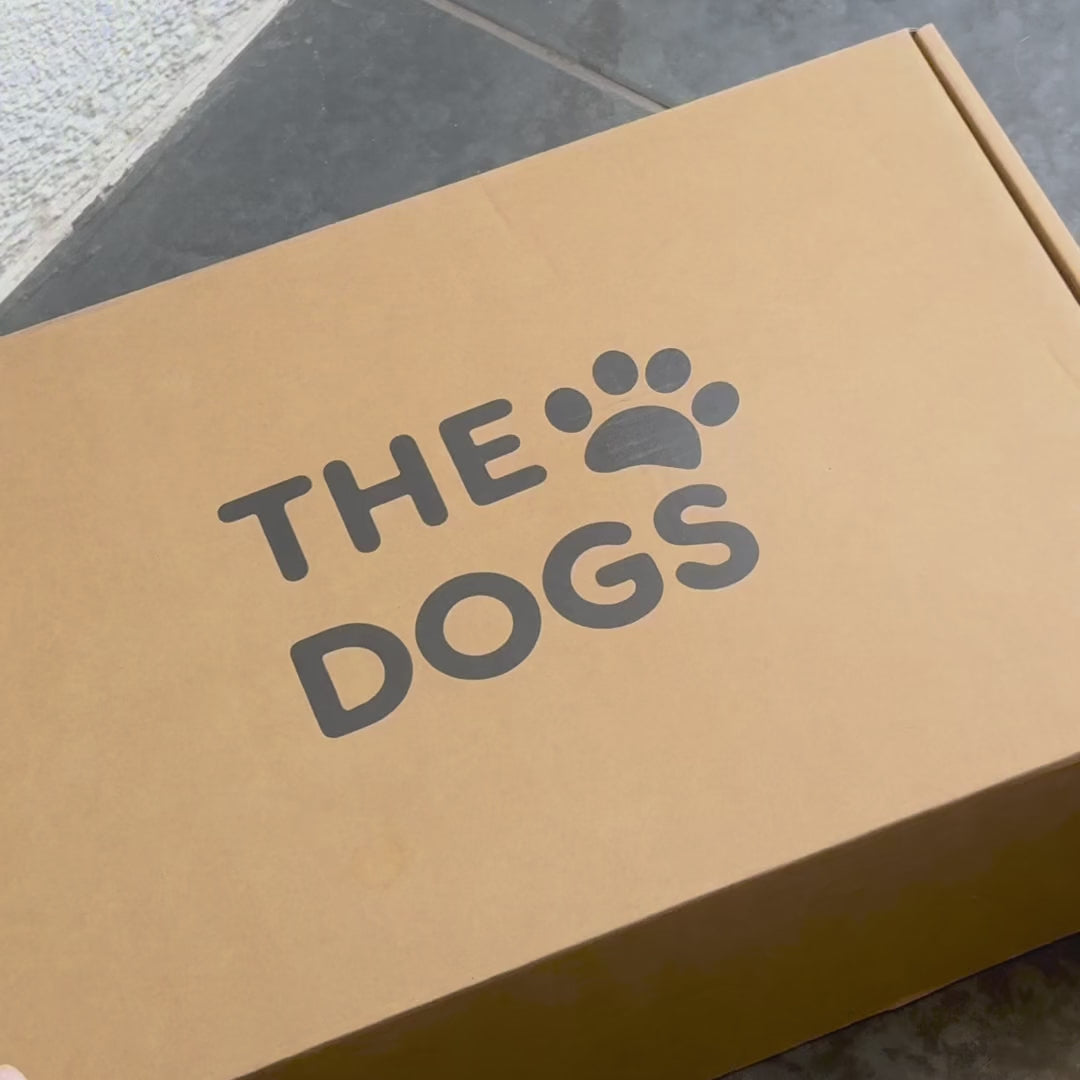 Contenedor Hermético THE DOGS — Alimento fresco y sin olores