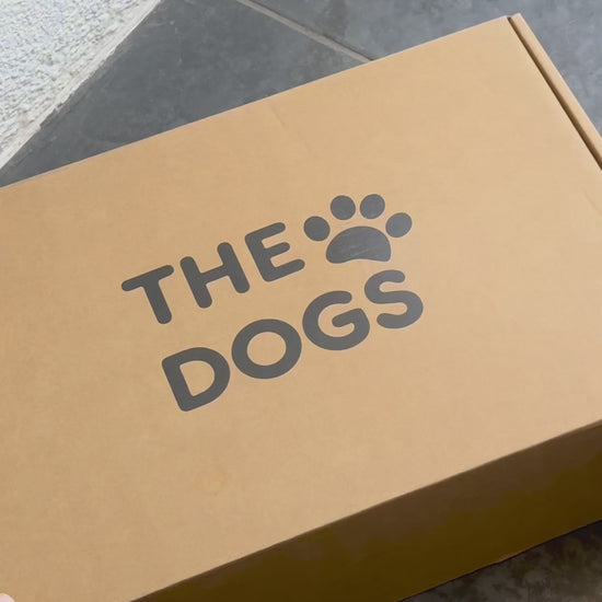 Contenedor Hermético THE DOGS — Alimento fresco y sin olores
