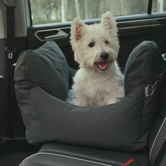 Asiento Primera Clase THE DOGS — Viajes seguros y cómodos
