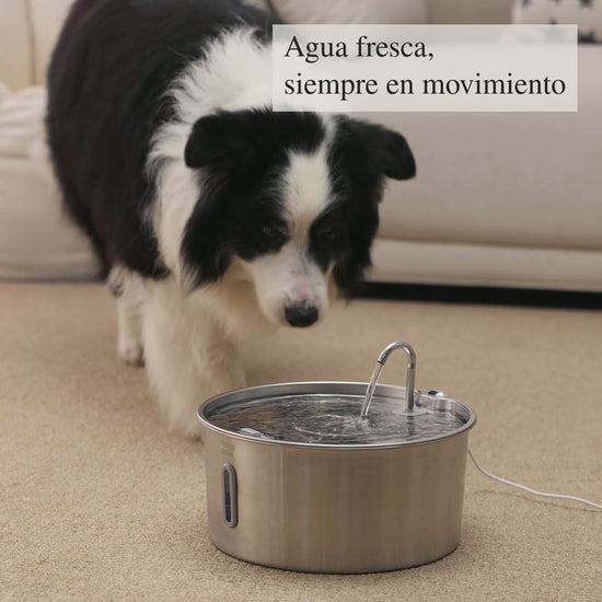 Aquaflow THE DOGS — Agua siempre limpia y fresca