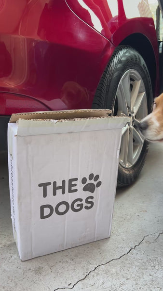 Cubre asiento impermeable THE DOGS