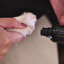 Video del limado gradual de las uñas de un perro blanco con THE DOGS NAILS