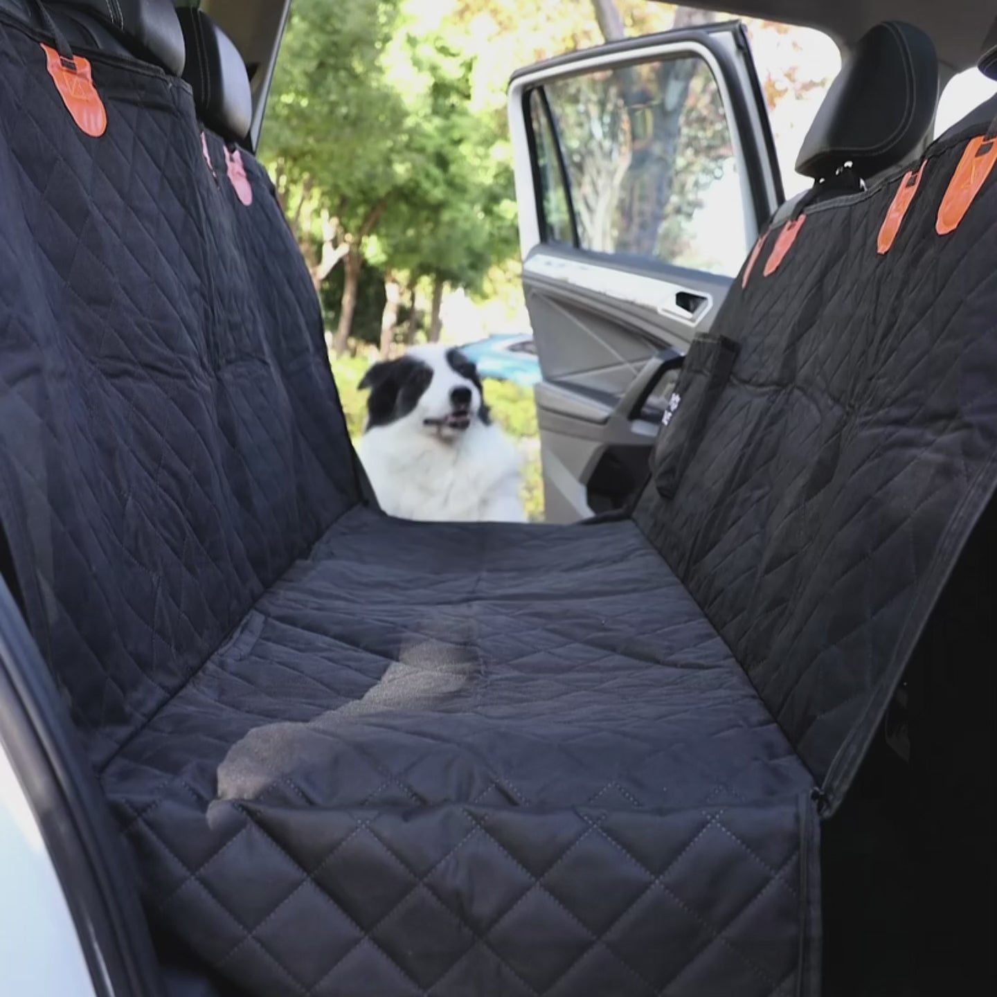 Funda Impermeable THE DOGS — Auto limpio, perro seguro