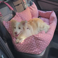 Asiento Primera Clase TheDogs