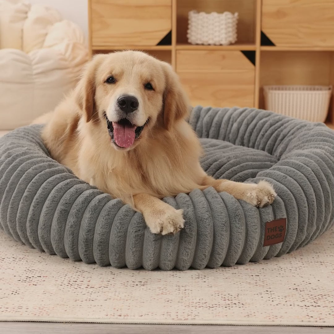 Luxury Edition: Cama Anti-Estrés THE DOGS