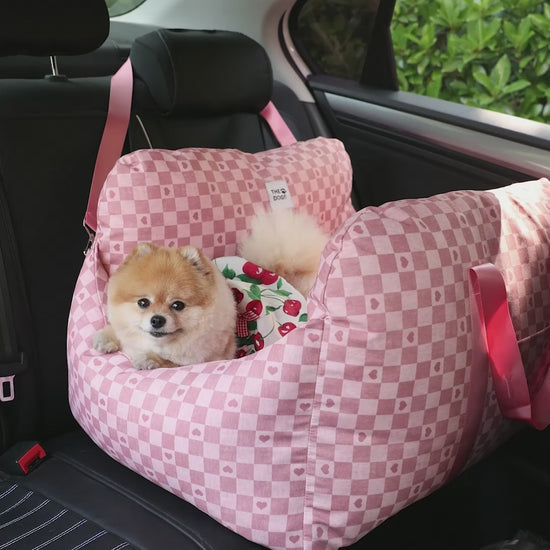 Asiento Primera Clase THE DOGS — Viajes seguros y cómodos
