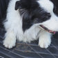 Funda Impermeable THE DOGS — Auto limpio, perro seguro
