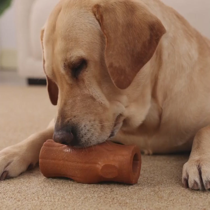 Tronco Mágico — Calma congelable para perros que no paran
