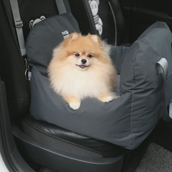 Asiento Primera Clase THE DOGS — Viajes seguros y cómodos