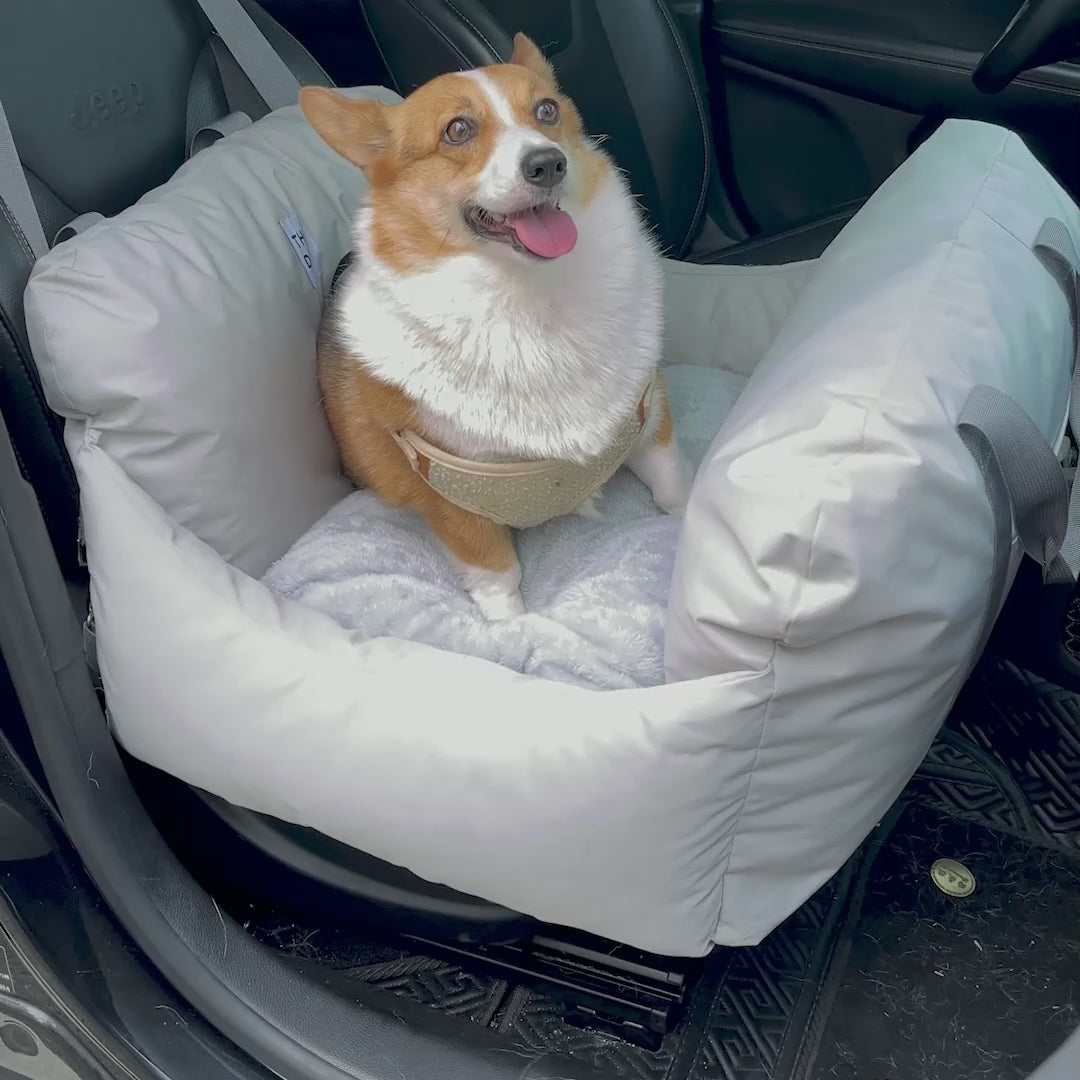 Asiento Primera Clase THE DOGS — Viajes seguros y cómodos