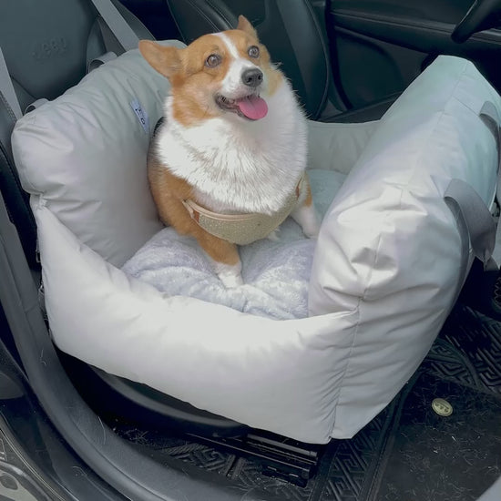 Asiento Primera Clase THE DOGS — Viajes seguros y cómodos