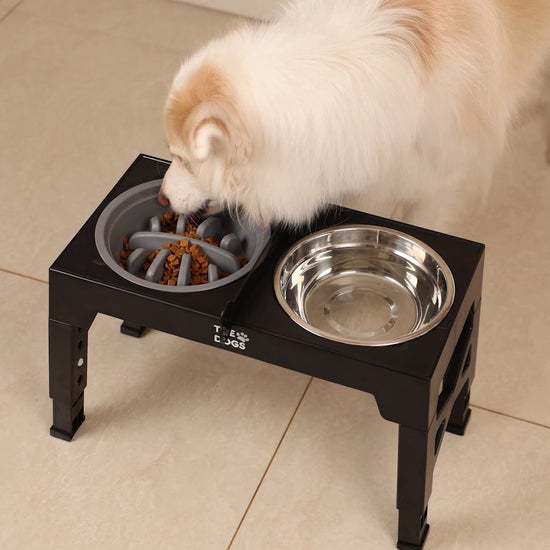 Comedero Elevado THE DOGS Postura correcta en cada comida