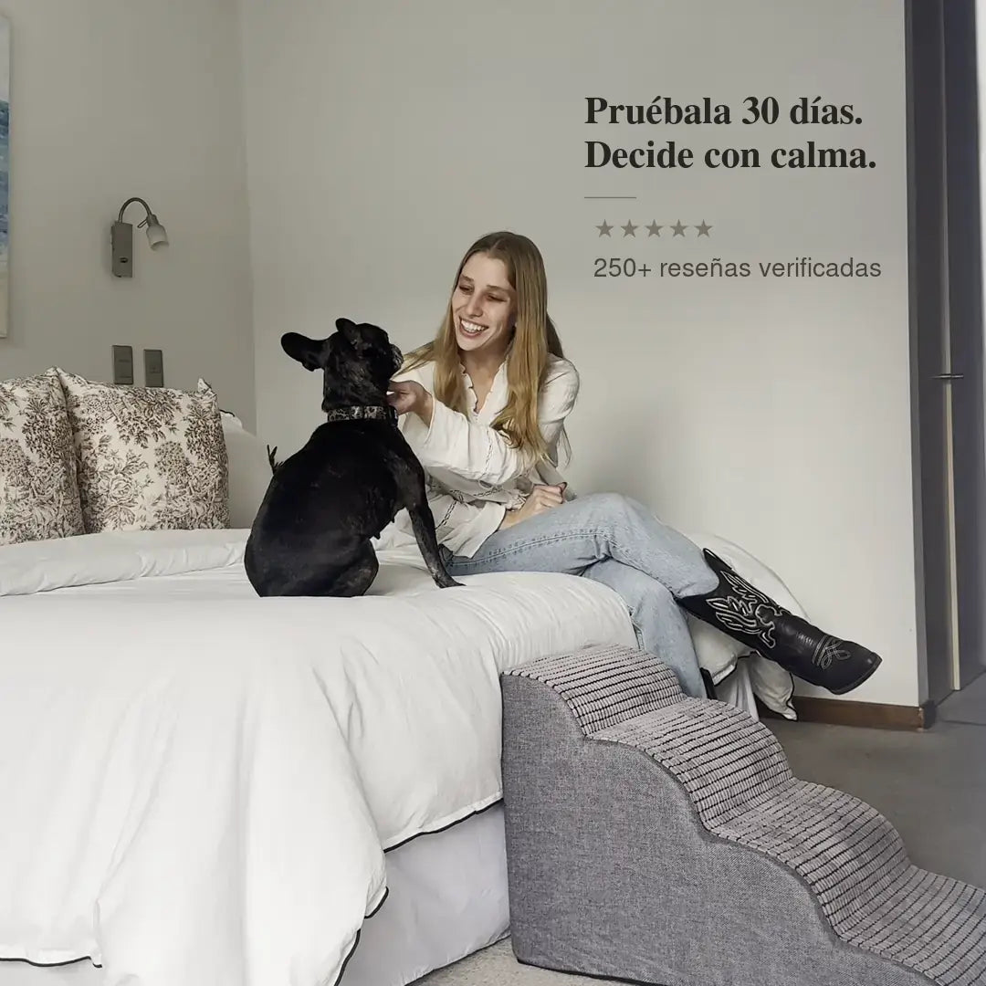 Rampa Pendiente Suave THE DOGS.