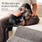 Rampa Pendiente Suave THE DOGS.