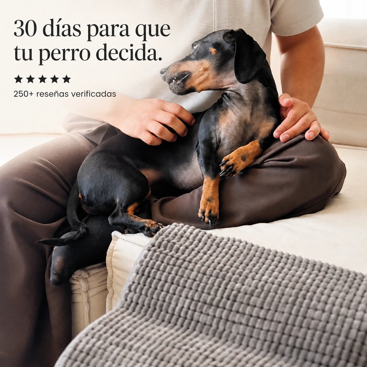 Rampa Pendiente Suave THE DOGS.