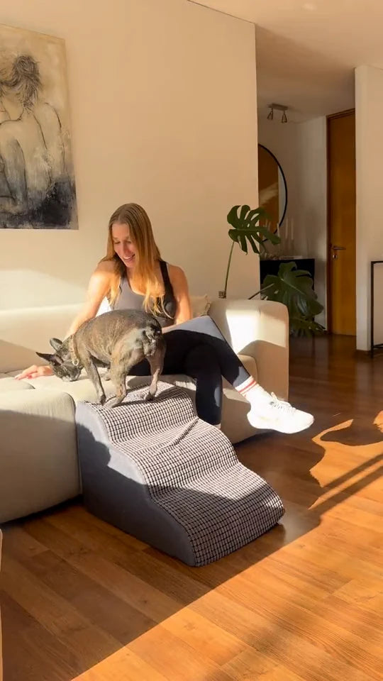 Bulldog usando una rampa junto a la cama y otra junto al sofá.