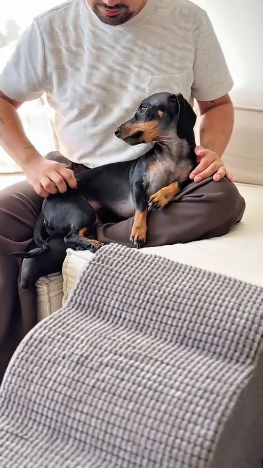 Un tutor muestra la funda y aparece junto a un perro salchicha.