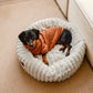 Luxury Edition: Cama Anti-Estrés THE DOGS