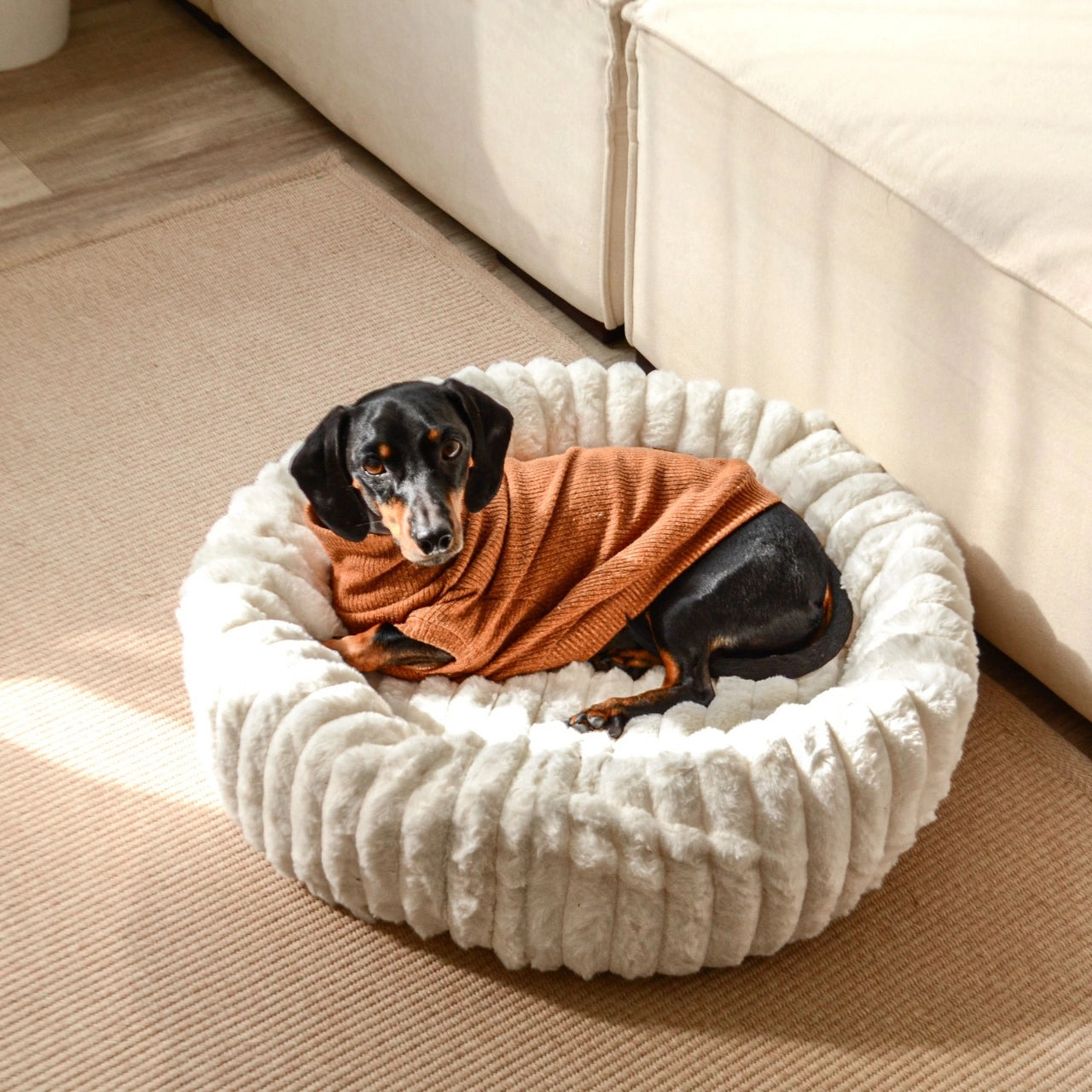 Luxury Edition: Cama Anti-Estrés THE DOGS