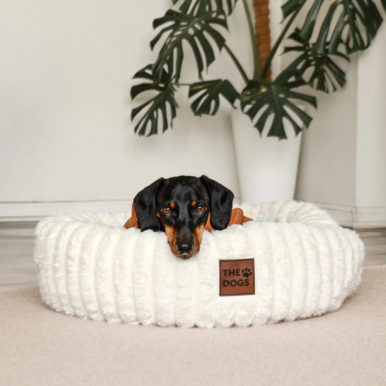 Luxury Edition: Cama Anti-Estrés THE DOGS